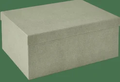 BIGSO Boîte De Rangement XL Menthe