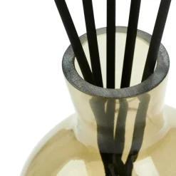 CEDER Branche Décorative Vert