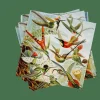 COLIBRI Set De 20 Serviettes Multicolore