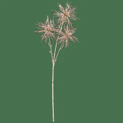 GOLDY Chardon Champagne Doré