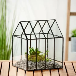 GREENHOUSE Terrarium Transparent