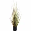HERBA Herbe En Pot Vert