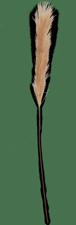 PLUME Plumes Décoratives Brun