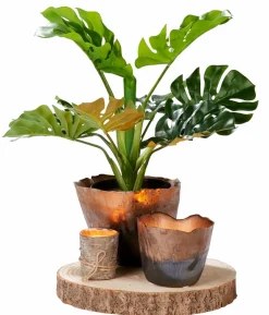 PURE RUSTIC Bougie Blanc