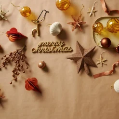 STAR Décoration Séchée