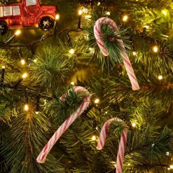 X-MAS CANDY CANE Sucre D'orge Set De 12 144g Multicolore